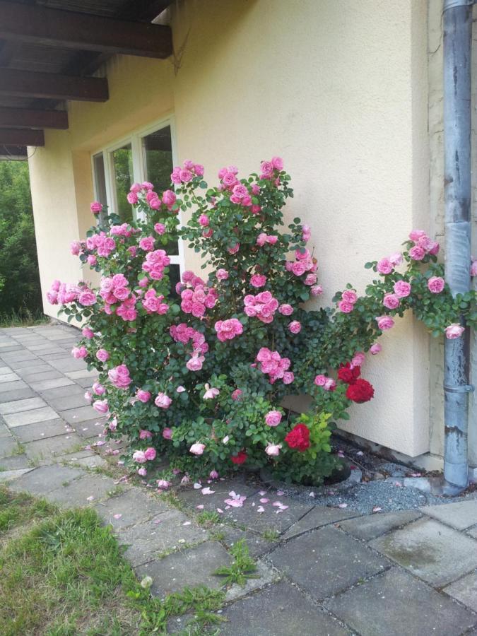 Ferienwohnung Am Spreeradweg Neusalza-Spremberg 外观 照片